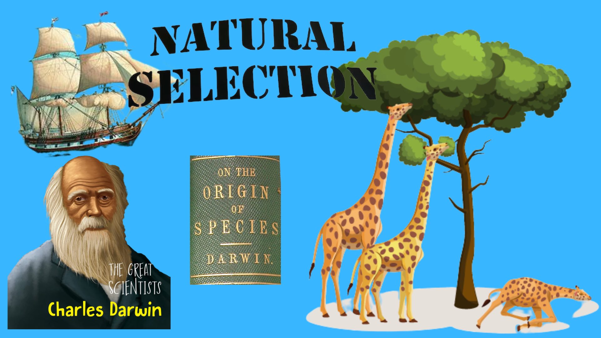 Natural selection theory of evolution - AnthroMania