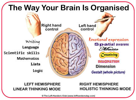 International Left-handers Day 2023: Significance, Advantages And  Disadvantages Of Being A Lefty