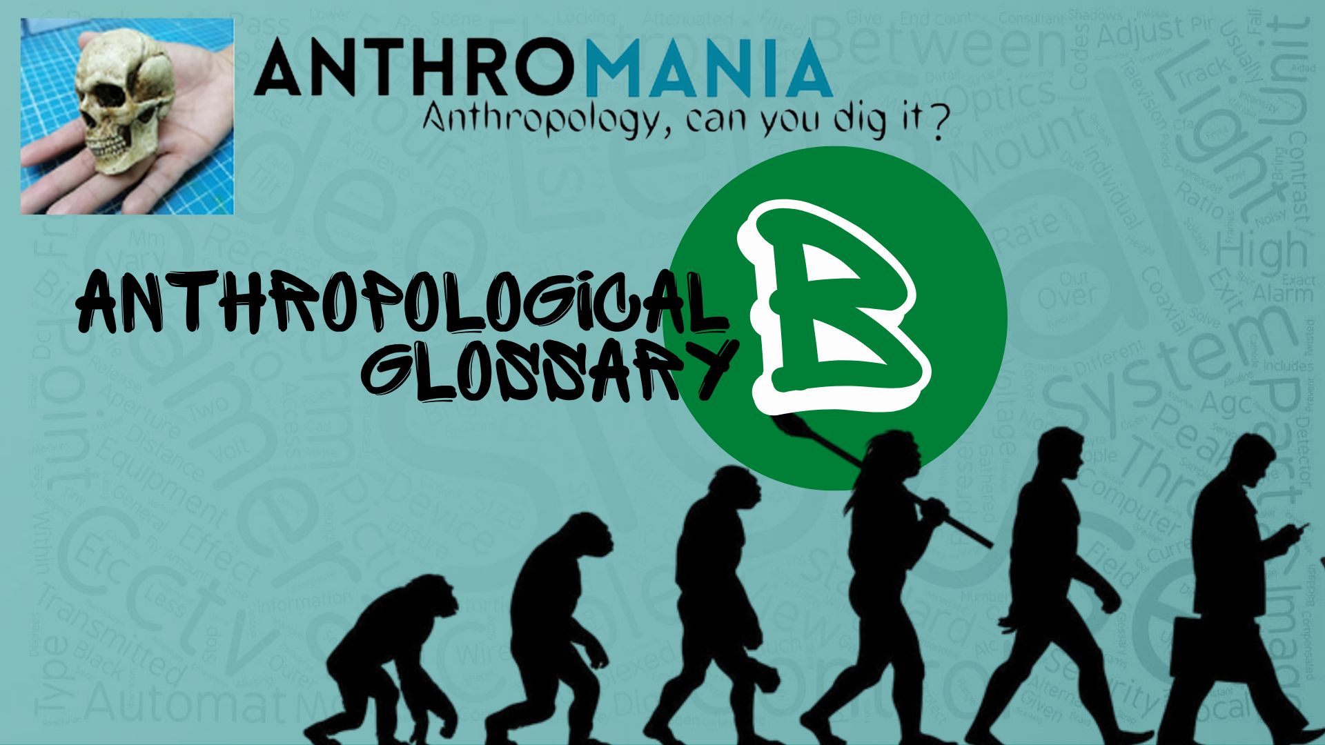 Man and Biosphere - AnthroMania