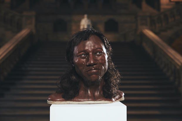 Cheddar Man (Image- TCT Magazine)