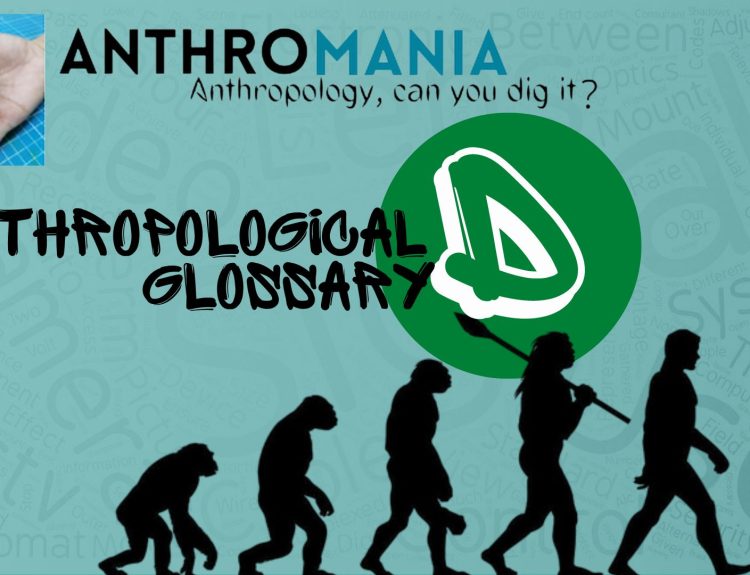 Anthropological Glossary (Letter D)