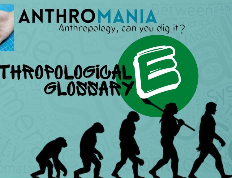 Anthropological Glossary (Letter E)