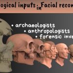 Anthropological Inputs in Facial Reconstruction