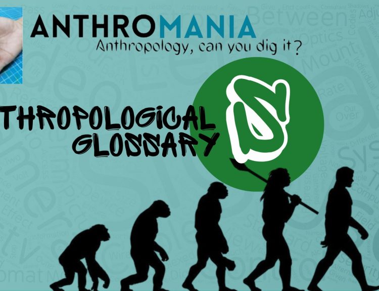 Anthropological Glossary (Letter S)