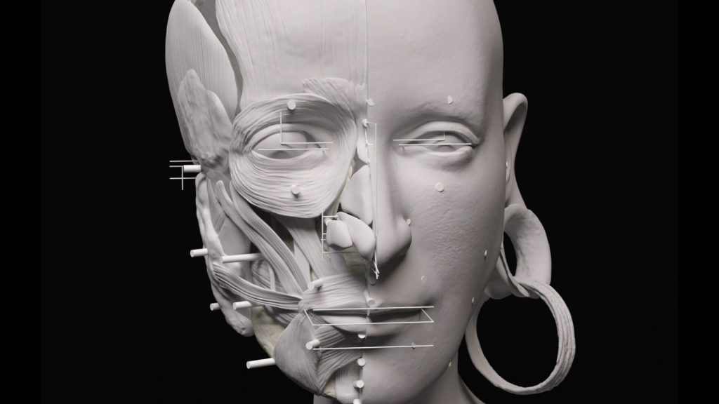 Facial Reconstruction (Image- Live Science)