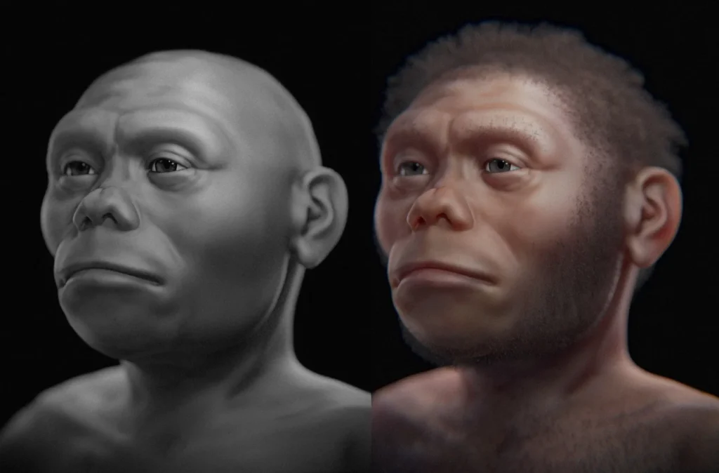 Homo floresiensis (Image- IFLScience)