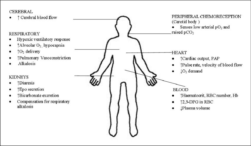 Image Source- ResearchGate